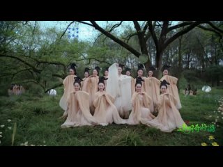 dance performance • "spring beauty on the river bank" • performed by: dance group "jin hua" •